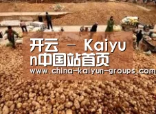 种植基地二