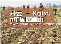 种植基地一