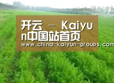 种植基地四