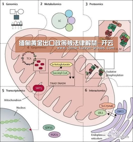 缅甸黄金出口政策被法律解禁-开云(图1)