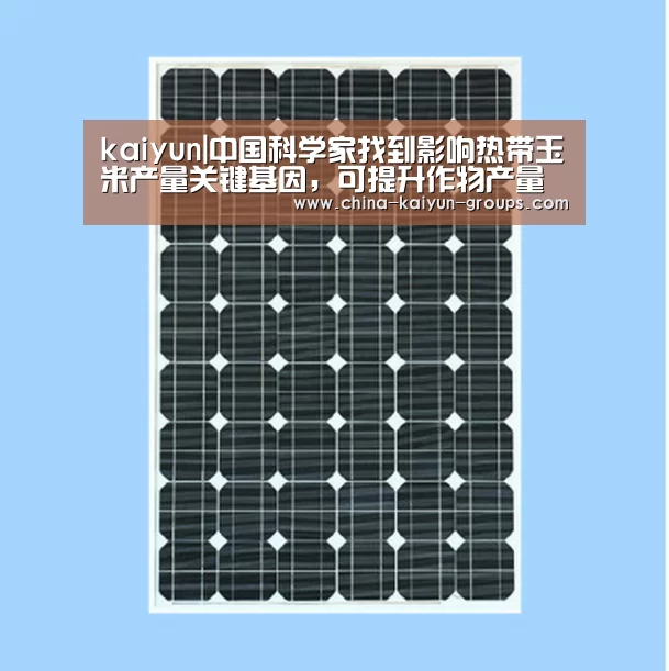 kaiyun|中国科学家找到影响热带玉米产量关键基因,可提升作物产量(图2) kaiyun|中国科学家找到影响热带玉米产量关键基因,可提升作物产量(图2)