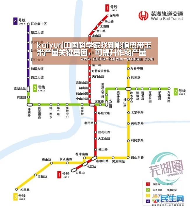 kaiyun|中国科学家找到影响热带玉米产量关键基因,可提升作物产量(图3) 开云